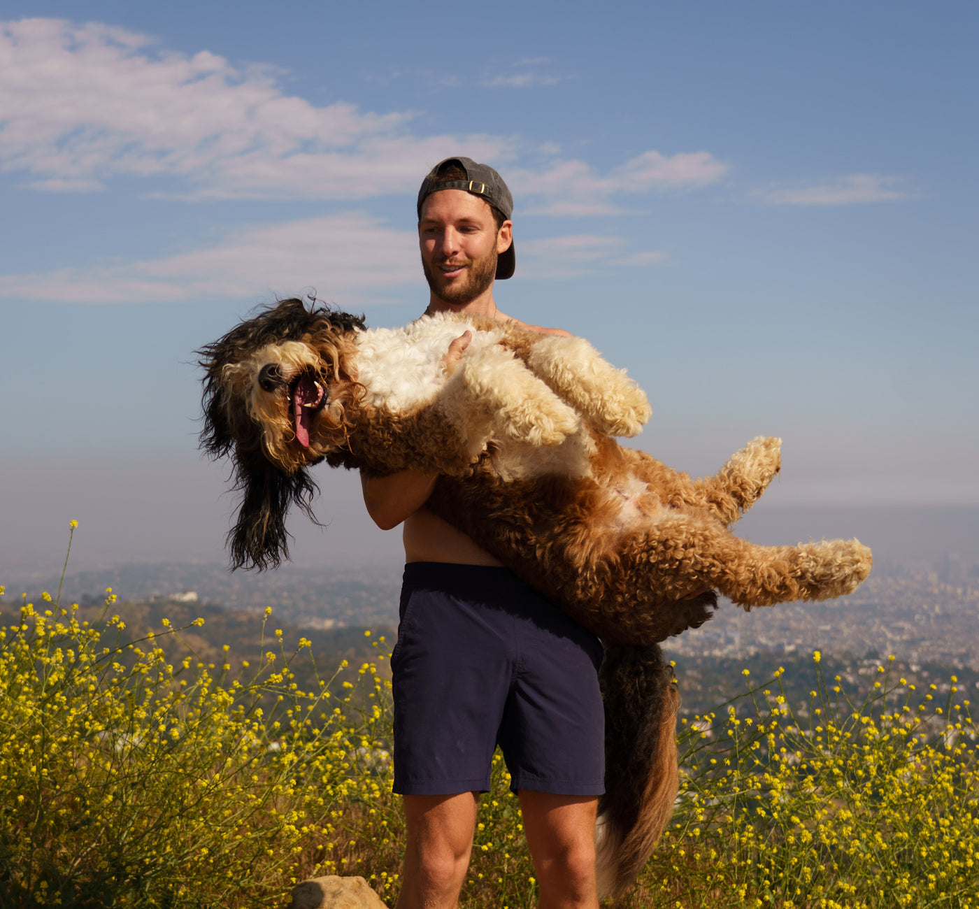 Why Sundays Food for Dogs is the Best Doggo Food for Pup Parents Like Me